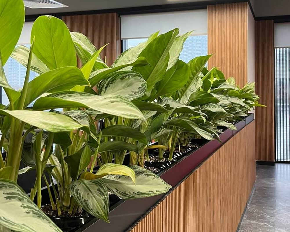 Панель МДФ ACUPAN 61.08.122505.92 зубья 12х122х2760 мм Орех светлый